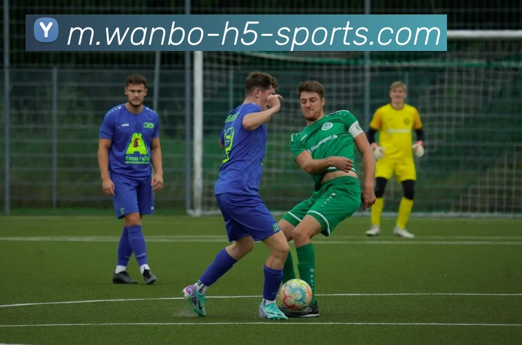 万博体育APP 高清赛事图